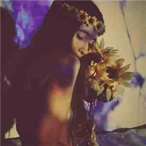 The Whip Angels - Eine Kleine Nachtmusick