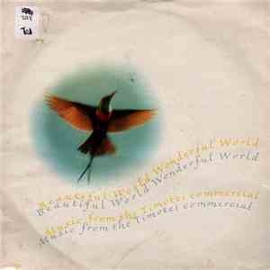 Beautiful World - Wonderful World