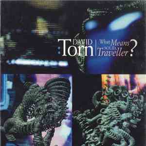 David Torn - What Means Solid, Traveller?