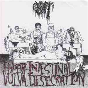 Gut - Hyper-Intestinal Vulva Desecration