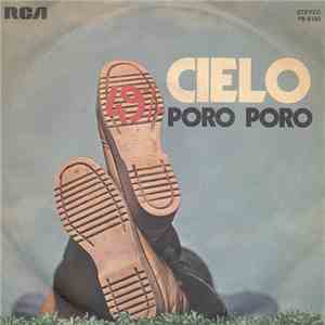 49% - Cielo
