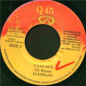 Elephant - Caan Dun