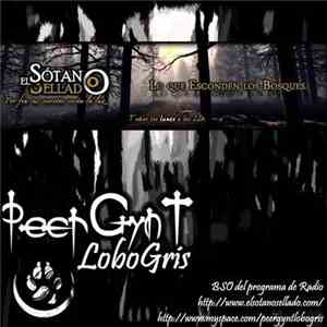 PeerGynt Lobogris - El Sotano Sellado BSO