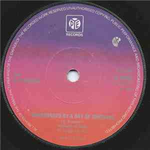 The Playthings - Surrounded By A Ray Of Sunshine