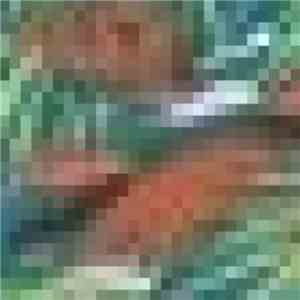 Petrels - Talus Dice / Beyond The High Savannahs