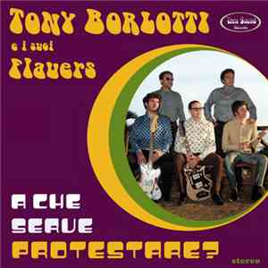 Tony Borlotti E I Suoi Flauers - A Che Serve Protestare?
