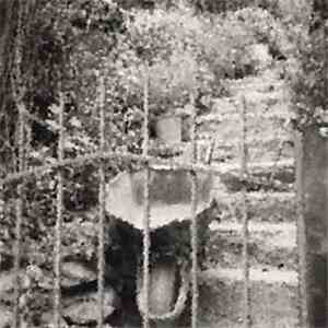 Phylum Chordata - Sedate Boundary