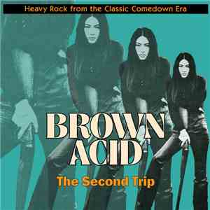 Various - Brown Acid: The Second Trip