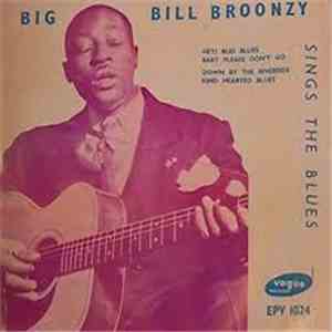 Big Bill Broonzy - Sings The Blues