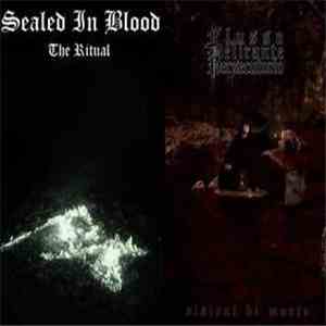 Sealed In Blood / Flusso Delirante Persecutorio - The Ritual / Visioni di M ...