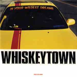 Whiskeytown - In Your Wildest Dreams