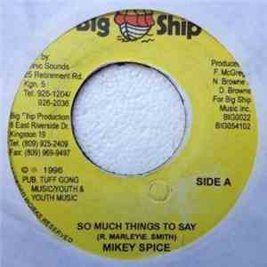 Mikey Spice - So Much Things To Say