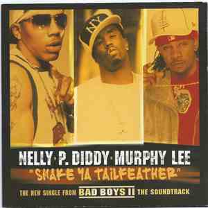 Nelly, P. Diddy & Murphy Lee - Shake Ya Tailfeather