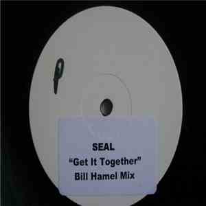 Seal - Get It Together (Bill Hamel Remix)