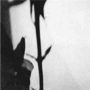 The Nàu Ensemble - The Eternal - Variations On Joy Division