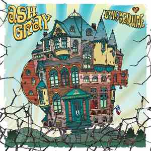 Ash Gray - Chicken Wire