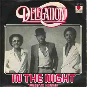 Delegation - In The Night