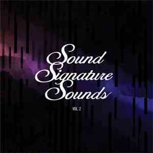 Theo Parrish - Sound Signature Sounds Vol. 2