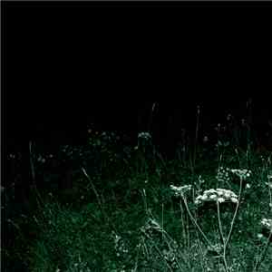 Docetism - Nightwalk