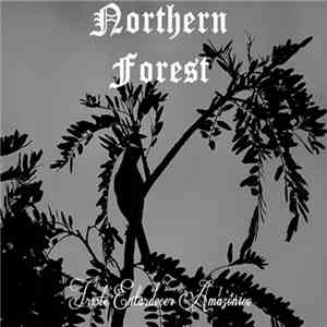 Northern Forest - Triste Entardecer Amazônico