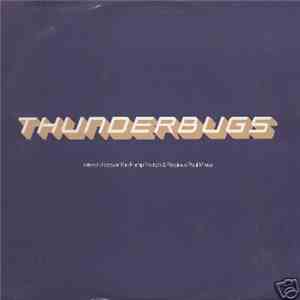 Thunderbugs - Friends Forever (The Pump Friction & Precious Paul Mixes)