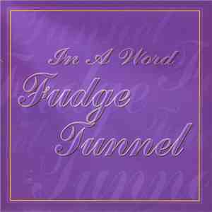 Fudge Tunnel - In A Word