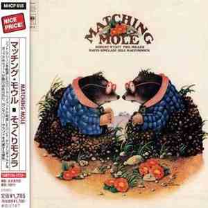 Matching Mole - Matching Mole