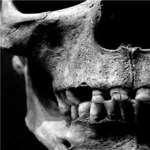 Elephantmen - Elephantmen Sessions - Demo