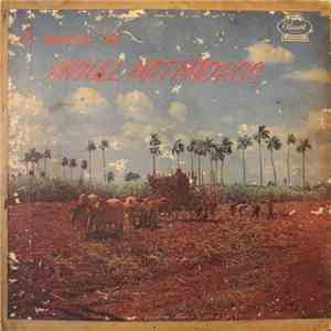 Miguel Matamoros, Cuarteto Maisi, 