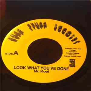 Mr. Kool  - Look What You've Done