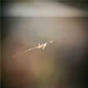 Andrew Lang  - From Before