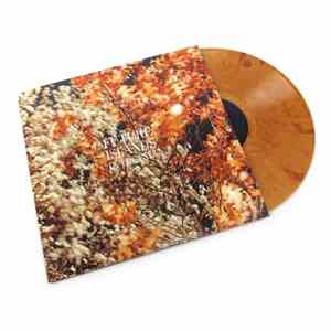 Future Islands - In The Fall
