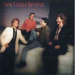 New Grass Revival - Hold To A Dream