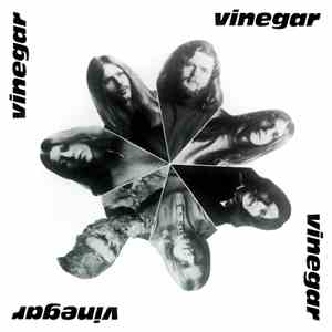 Vinegar  - Vinegar