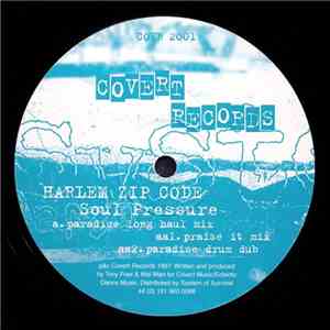Harlem Zip Code - Soul Pressure