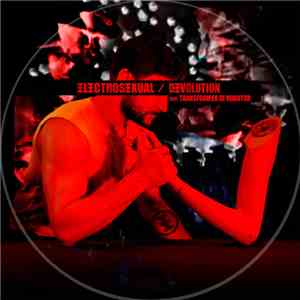 Electrosexual Feat. Transformer Di Roboter - Devolution