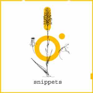 iTAL tEK - Snippets