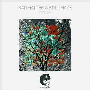 Rad Hatter & Still Haze - Stray
