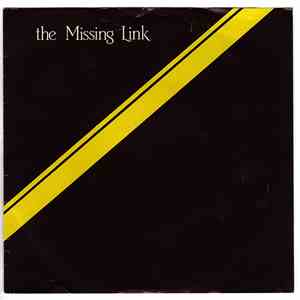The Missing Link  - I'll Fly From Home