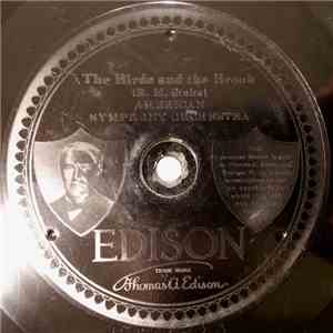 American Symphony Orchestra / Reed Orchestra - The Birds And The Brook / Forest Whispers