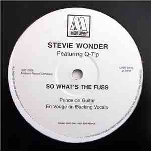 Stevie Wonder - So What's The Fuss