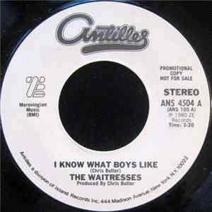 The Waitresses - I Know What Boys Like