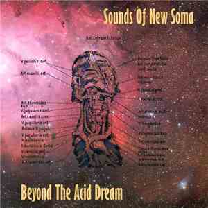 Sounds Of New Soma - Beyond The Acid Dream