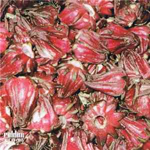 Various - Riddim CD #05