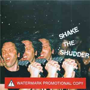 !!! - Shake The Shudder