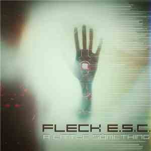 Fleck E.S.C. - A Little Something