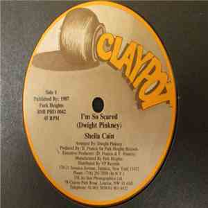 Sheila Cain - I'm So Scared / Don't Let Him Take Your Love