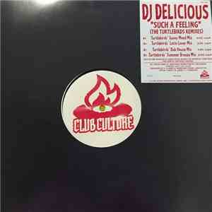 DJ Delicious - Such A Feeling (The Turtlebirds Remixes)