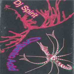 DJ Spirit  - Organic Acid