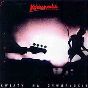 Kobranocka - Kwiaty Na Żywopłocie